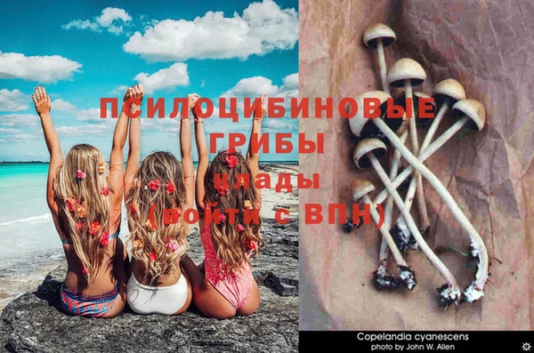 первитин Горно-Алтайск