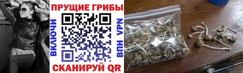 Купить  Алупка  Псилоцибиновые грибы прущие грибы 